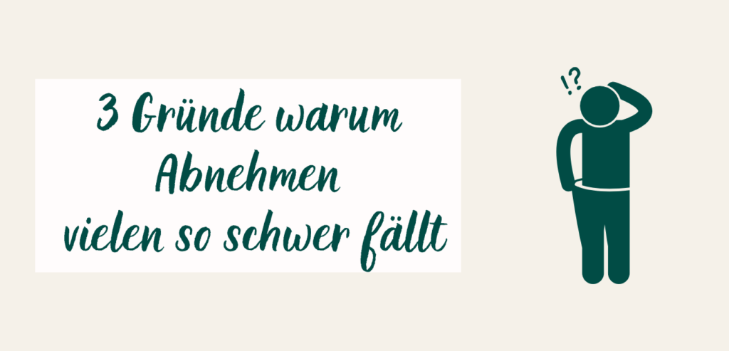 3 Gründe warum Abnehmen vielen so schwer fällt und sie einen Ernährungsplan brauchen um langfristig abzunehmen.